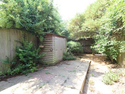 Picture 19